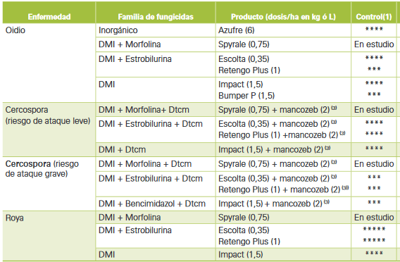 azucarera-exito-control-enfermedades-foliares