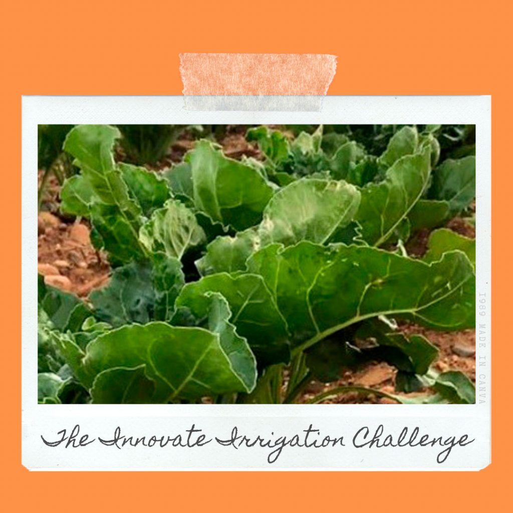 innovate-irrigation-challenge